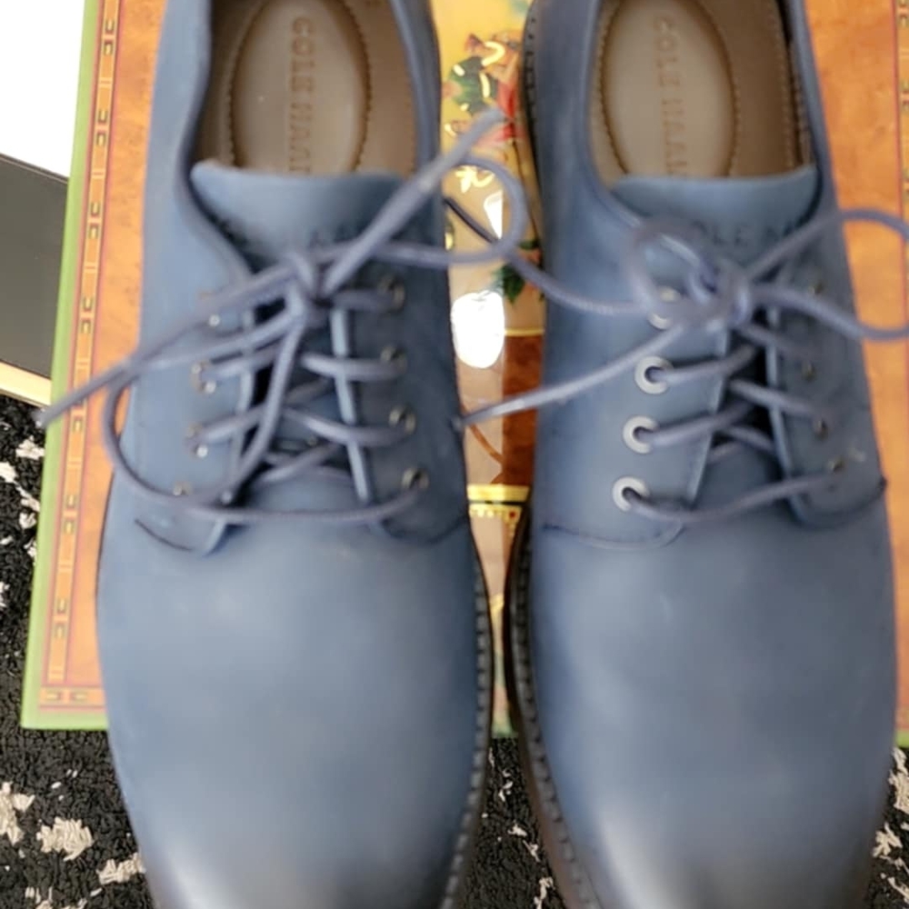 Cole Haan Blue Oxford Shoes with Minimalist Design